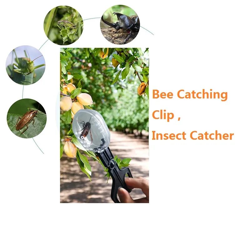 Queen Bee Clip Catcher Cage Bee Catching Clip Bee Queen Transfering Tool Beekeeping Isolation Cage Room Reptile Feeding Clip