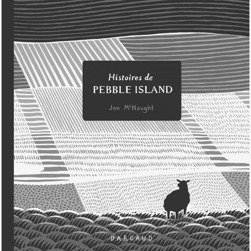 

Histoires De Pebble Island Jon McNaught Dargaud 9782205074611 Книга