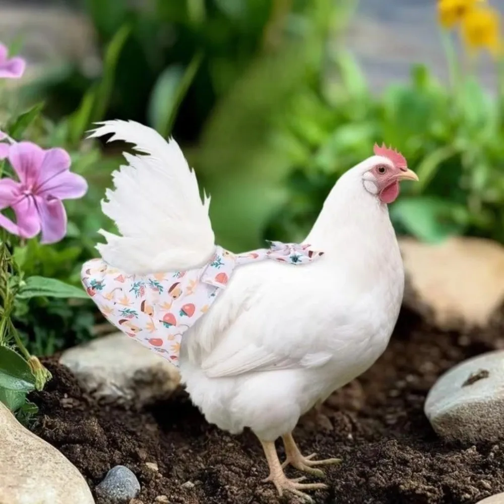 Pañales Lavables para Gallinas, Correas Ajustables con Diseño de Ganso, Cómodas Correas para el Pecho, Reducen el Olor, Bolsas de Pañales para Patitos, Jardín