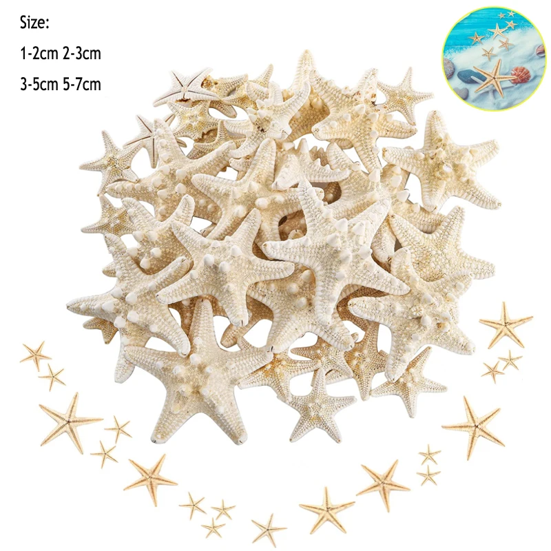 5/25/50/100 pcs Sea shells  Mini Starfish Craft Decoration Natural Sea Stars DIY Beach Cottage Wedding Decor crafts wedding