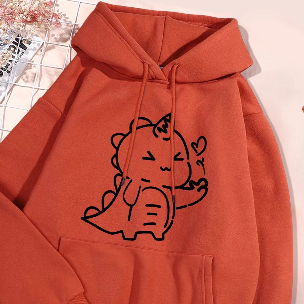 Little Dinosaur Cares More About You Than Anything Else Sweatshirt Male Fashion Fleece Hooded Autumn Crewneck Hoodies Casual