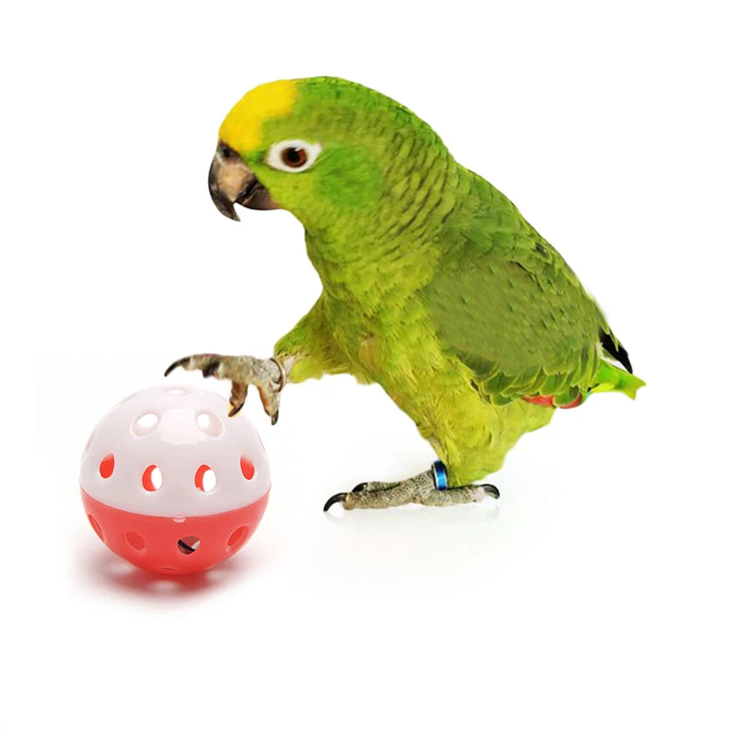 Bird Parrot Toy, Colorful Rolling with Interactive Foot, Cage Accessories, Medium and Large Birds