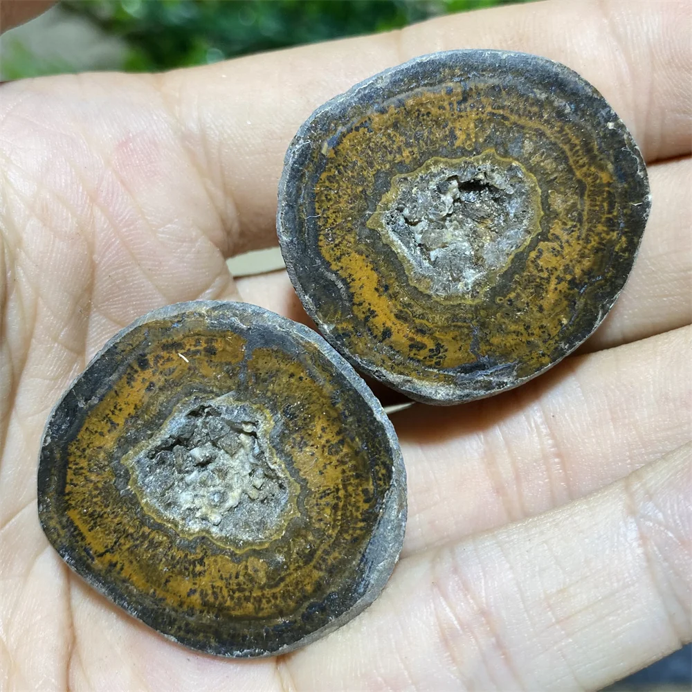 Pair Natural Crystal Druzy Geode High Quality Specimen Beauty Home Decoration Stone Healing Speciimen Gemstone Mineral