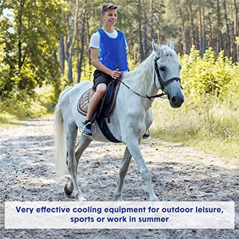 

AC88-2 Pcs Blue Cooling Vest With 48 Pcs Ice Pack Adjustable Ice Vest For Men Women Hot Weather Working Running Fishing Cycling