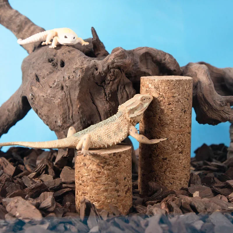 Natürliche Holzzweig Krabbeln Haustier Verstecken Klettern Material Schildkröte Zucht Box Dekor Regenwald Tank Landschaft Weiches Holz