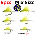 6pcs Mix Size