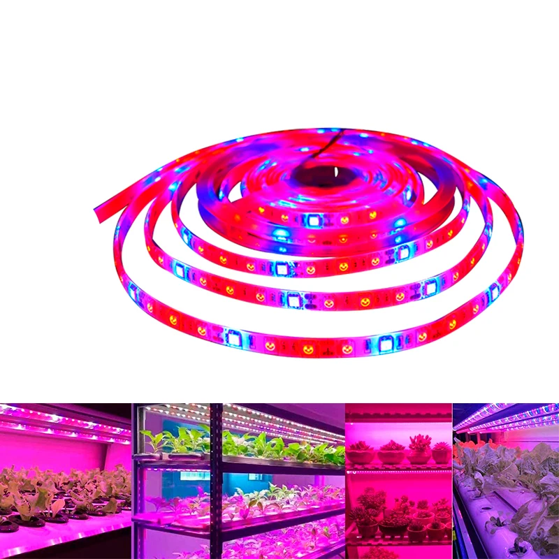 Plant Grow LED Strip Lights 5050 SMD Red Blue 3:1 4:1 5:1 For Greenhouse Hydroponic Plant Growing,5m/lot DC12V