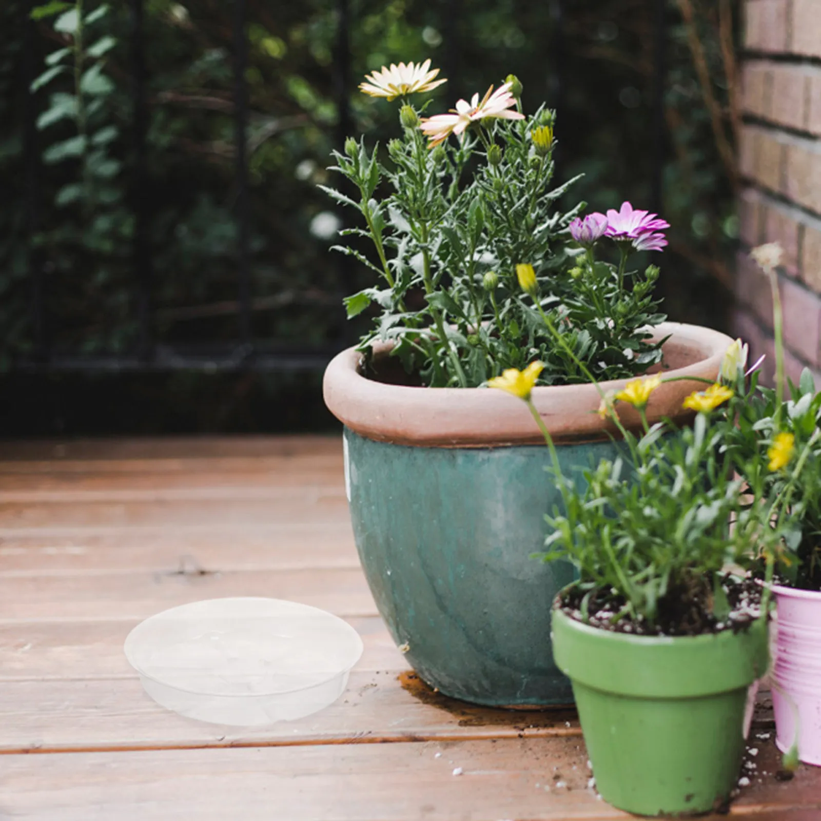 15Pcs Transparent Plant Pot Saucer Plastic Plant Tray for Indoor Outdoor Planter Base Tray Water Catcher Saucer