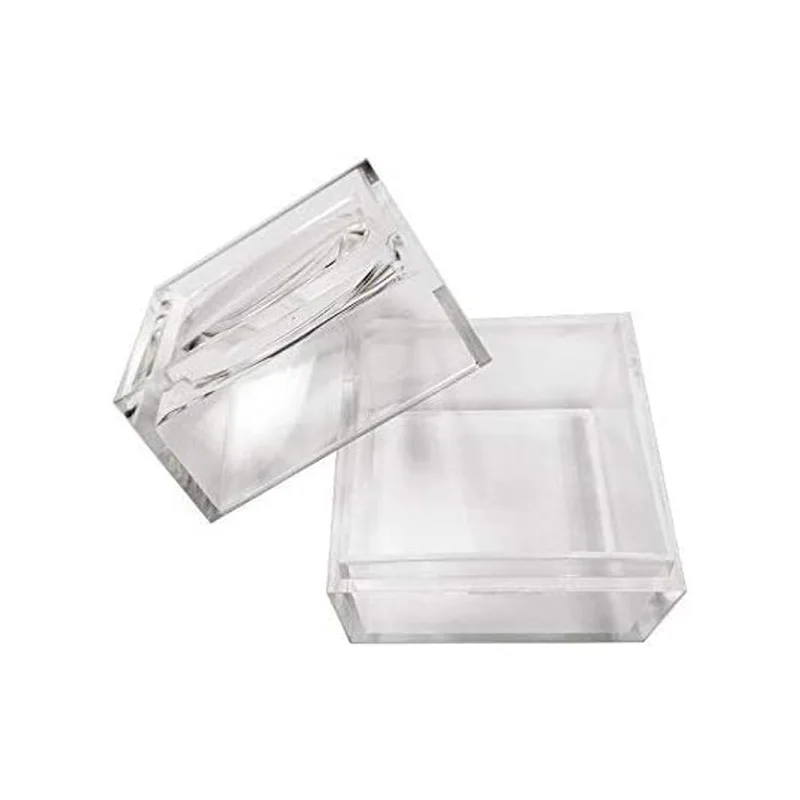 Insect Specimen Transparent Plastic Magnifying Jewelry Display Box