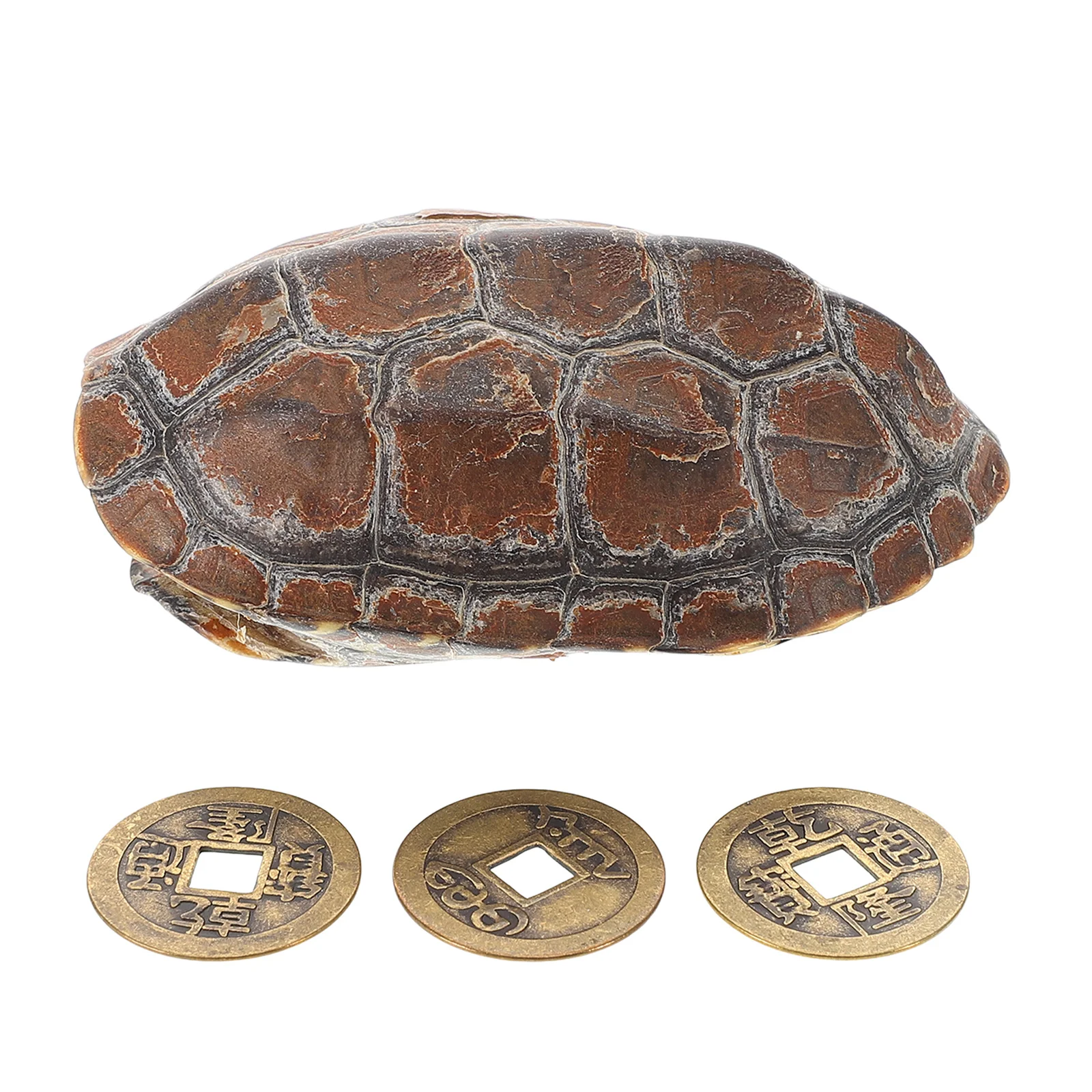 1 مجموعة 1 مجموعة رائعة السلحفاة قذيفة قبضة الحرف الثقافية للعرافة الاسترخاء ديكور مكتب المنزل قذيفة الجمالية الصينية #6
