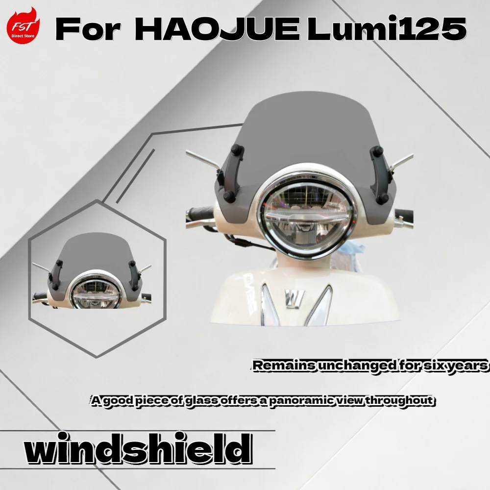 

Ветрозащитный экран-накладка на грудь для мотоцикла Haojue Lumi125 (модифицированный, для гонок)