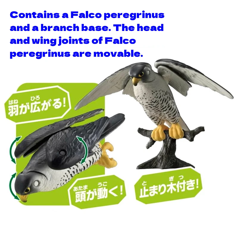 ของเล่นสำหรับเด็กอัลบีเลียอาณาจักรจำลองสัตว์ Falco peregrinus armadillo ของแท้ของขวัญวันเกิด