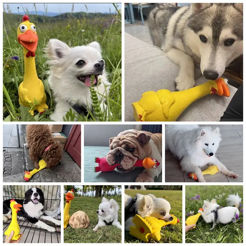 Thumbnail 3 - #74 Squeaky Dog Toys List of Top Picks