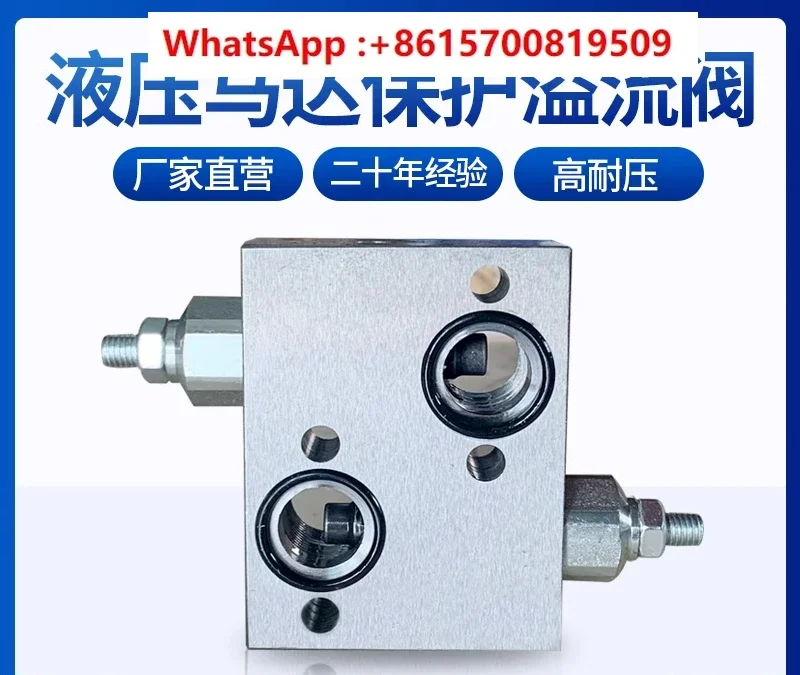 

BM4 wood grabber two-way hydraulic relief valve clamping machine supporting motor safety relief safety pressure relief