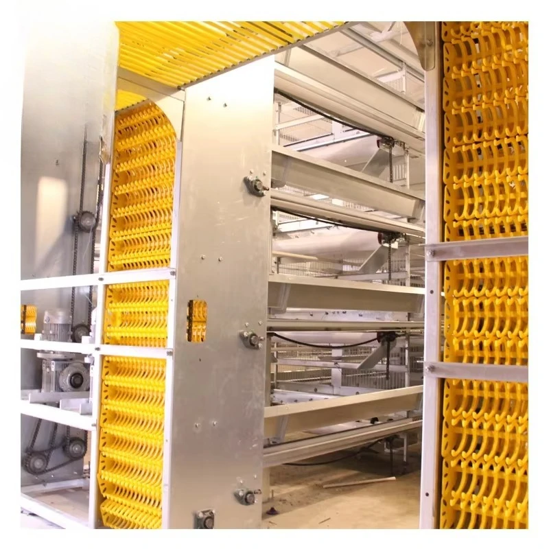 

Poultry Farming Equipment High Quality Automatic Egg Collecting System