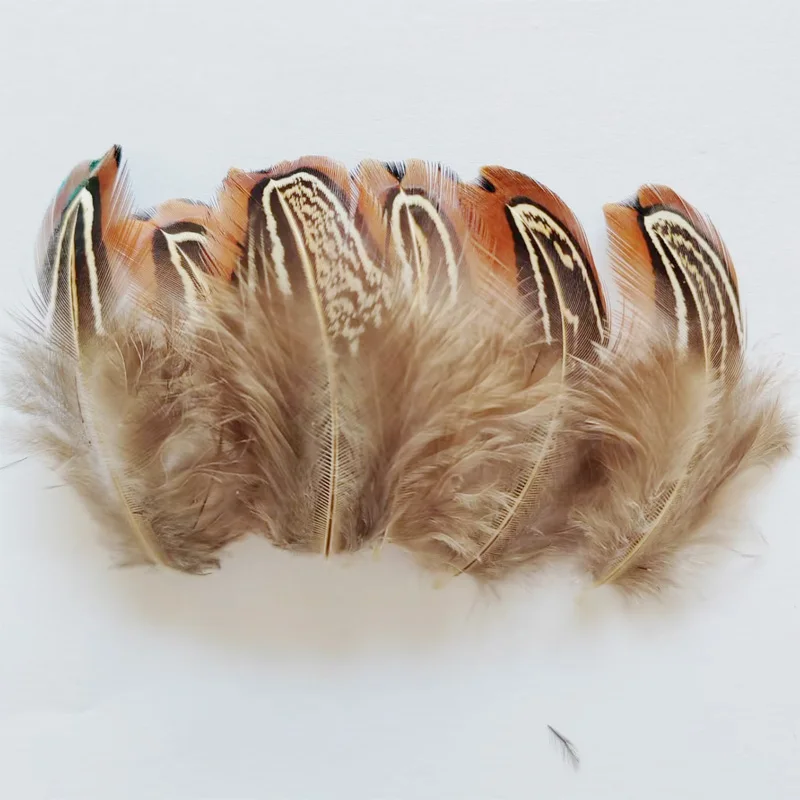 200Pcs/Lot! 5-7CM Small Feathers,Pointed Ringneck Pheasant Plumage Feathers,Loose Craft Feathers ,plumas para manualidades