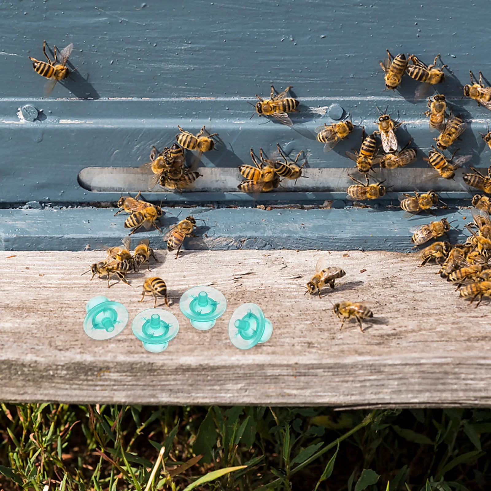 

100 Pcs Breeding Cups Rearing Tools Plastic Cell Beekeeping Equipment Safe Storage Easy Use Selected Material