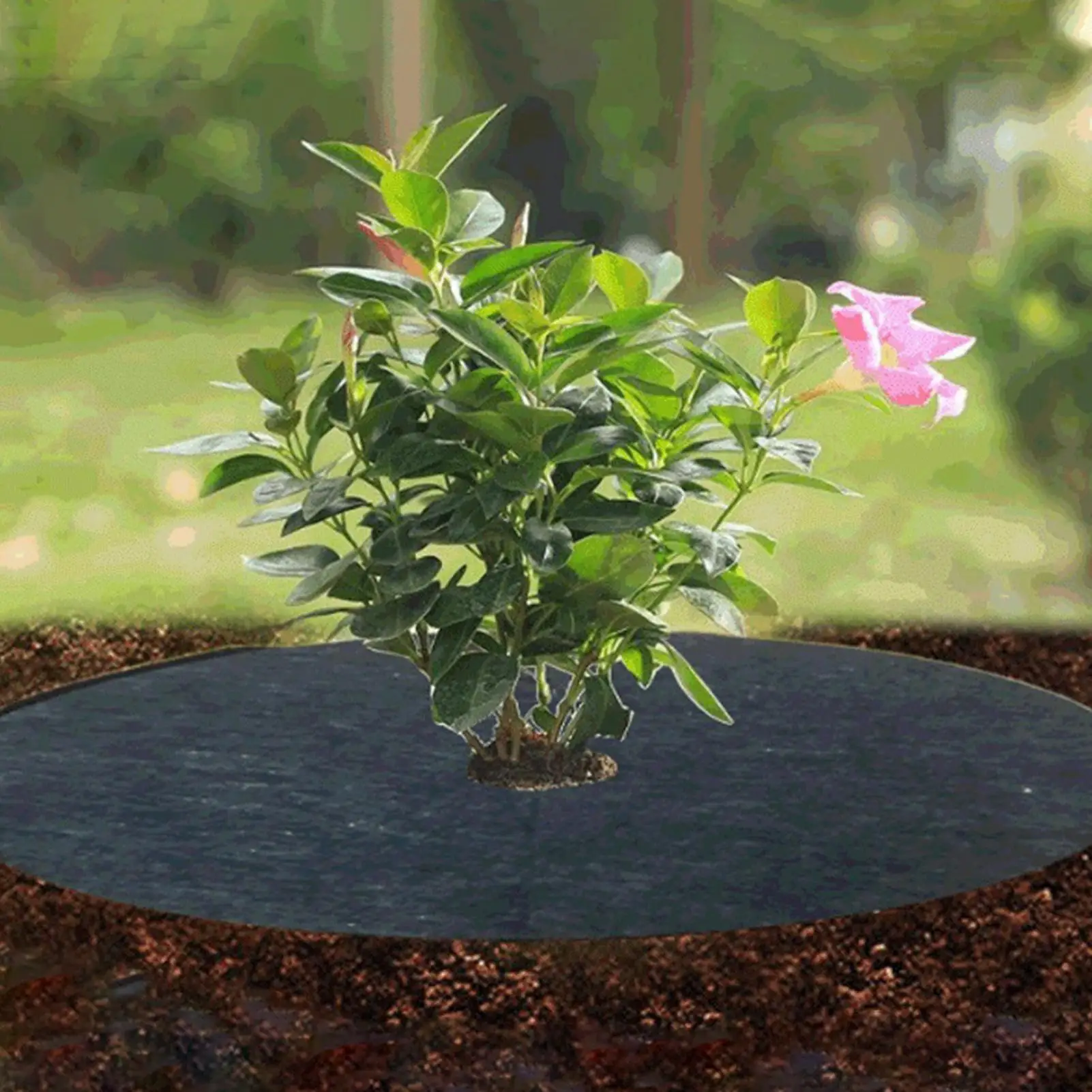 10PCS Weeds Mat Non-Woven Tree Mulch Ring Tree Protector Mat Protect easy to use For Weeds Control Root Protection