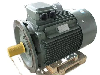 YE3 100L 2 Pole Three Phase Induction Small Ac 3kW 4hp 2800rpm Electric Motor in Industrial Use