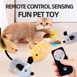 Simulation Remote Control Electric Indoor And Mouse Reliever Chasing Pet Toy Toy Induction Rechargeable Boredom Wir K1n4