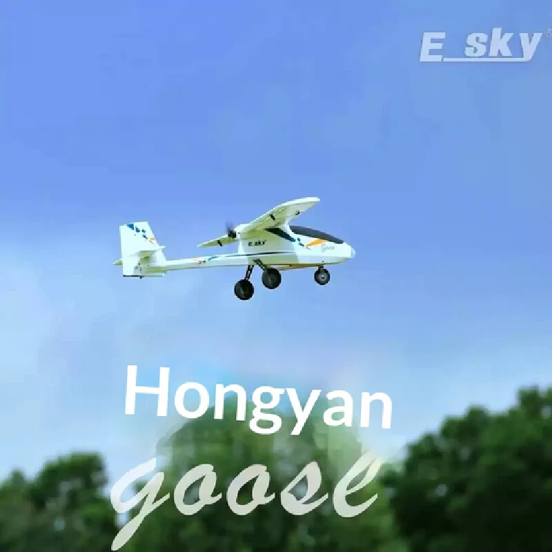 Esky Goose Fixed Wing Rc Airplane Fpv Aerial Flight Platform 1.1m Wingspan Easy To Learn Fly Outdoor Rc Aircraft For Hobbyists