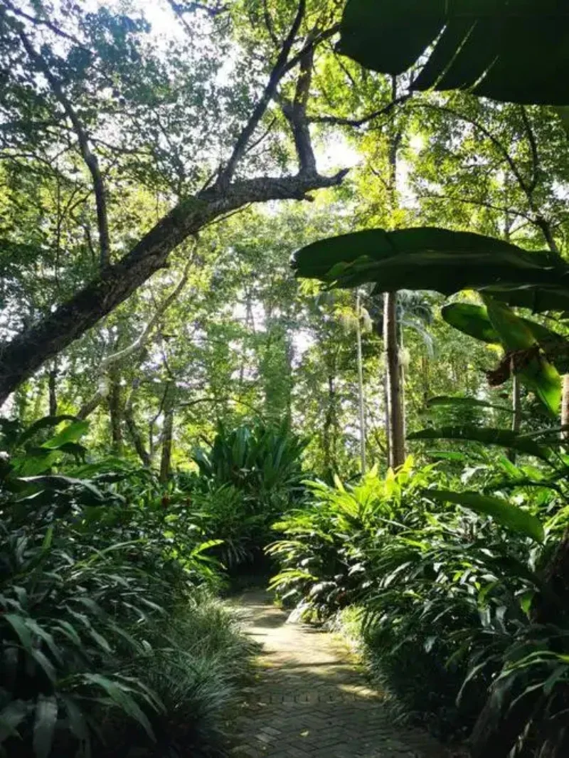 

Paint Pen Supplies Modification Accessories Car Paint Scratch Repair Car Scratch Remover Paint Repair Marker For Benz GLE