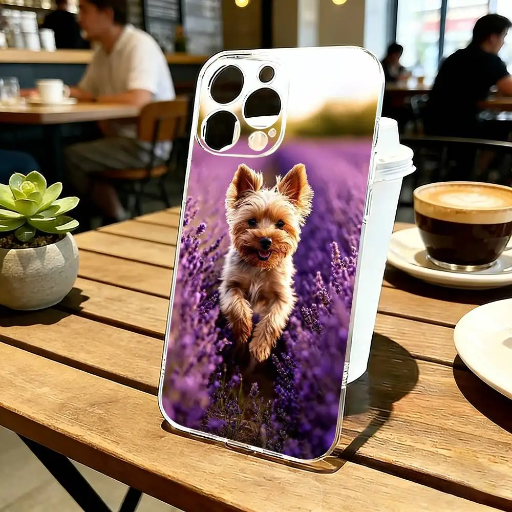 

Yorkshire Terrier Cute Dog Phone Case For iPhone 17 16 15 14 13 12 11 Mini Pro Max Plus Transparent Cover