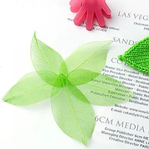 Natural Catbrier Skeleton Leaves Multi Purpose Green Craft Embellishments Scrapbook Material for Art Projects and Home Decor