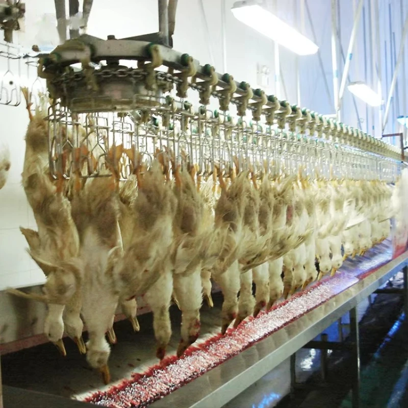 Customized Poultry Slaughter Line With Hanging Convey Rail Poultry Overhead Conveying Hanging Rail For Processing Line
