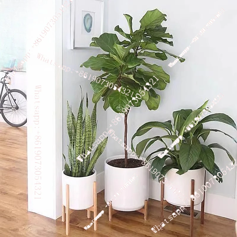 

Simulated Green Plant Traveler Banana Leaf Ficus Living Room Grid Fake Grass Fake Tree Ornament