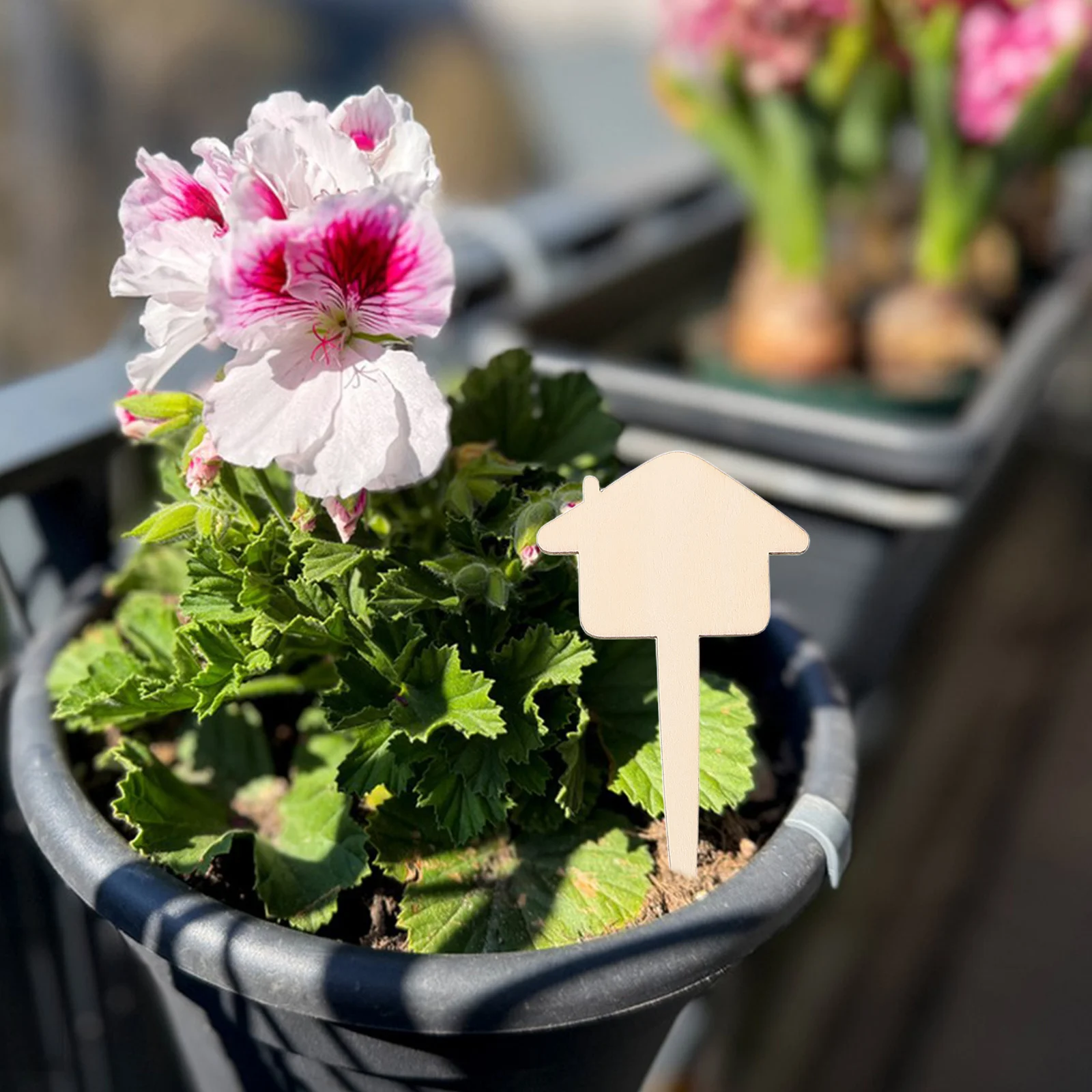 

50Pcs Wooden Garden Markers Rustic Plant Labels Vegetable Herb Tags House Tree Flower Shape Stakes Indoor Outdoor Succulent