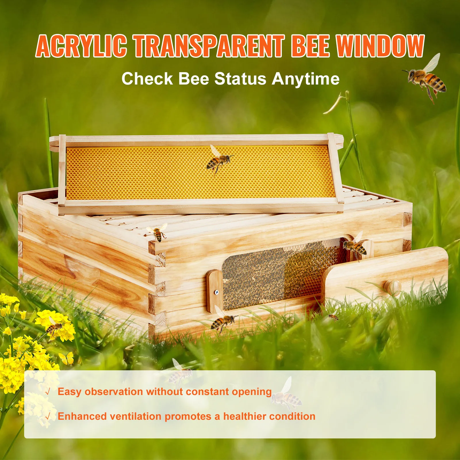 

Комплект медленного улья Bee Hive Langstroth, 10-рамные акриловые пчелиные окна