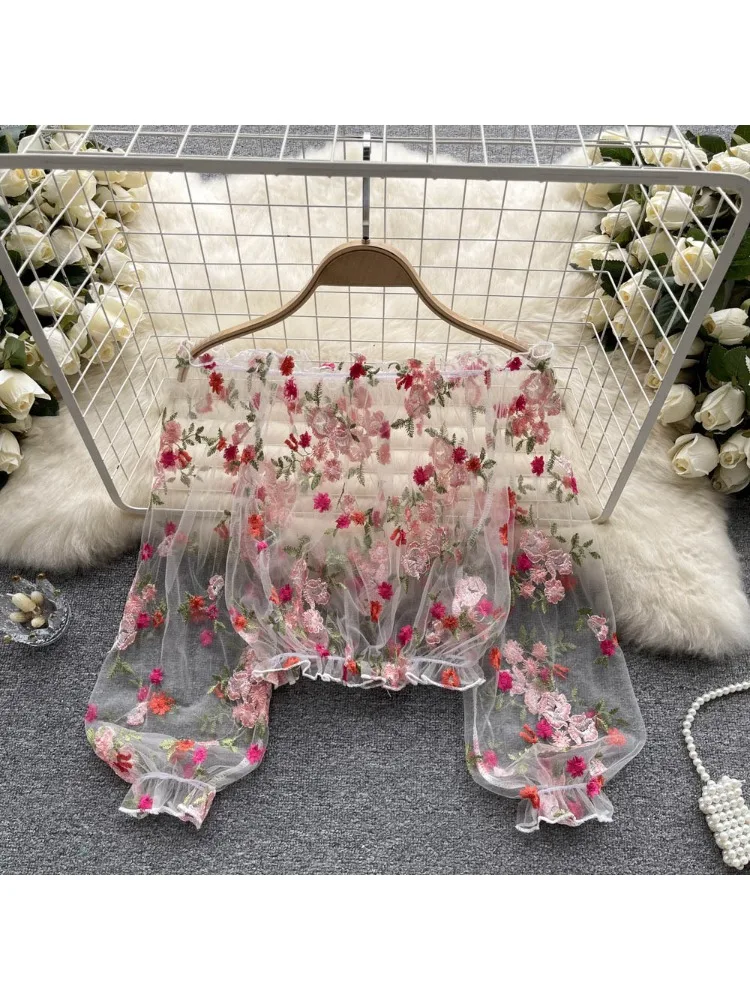 

One Shoulder Mesh Embroidered See Through Shirt for Women in Summer, Loose Puff Sleeves, Short Length, Long Sleeved Lace Shirt