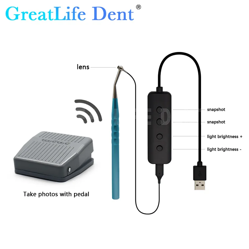 GreatLife Dent Dental Micro Intra-Oral Camera Real Time Wifi 24 Inch Screen Visual Root Canal Removal/ Mouth Mirror/Endo Motor