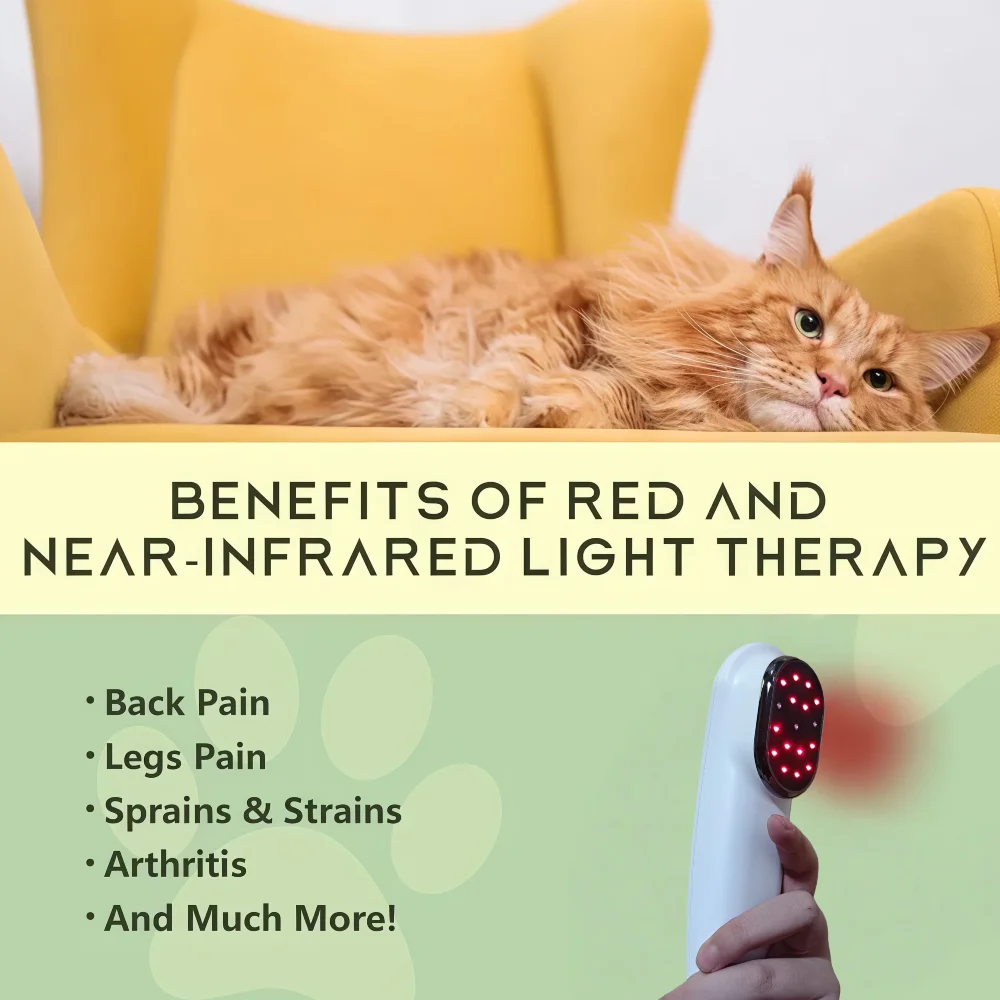 

Pet Light Therapy Device, Help Dogs and Cats Suffer from Аrthritis, Skin Inflammation, Red Light and Near-infrared Light Dual W