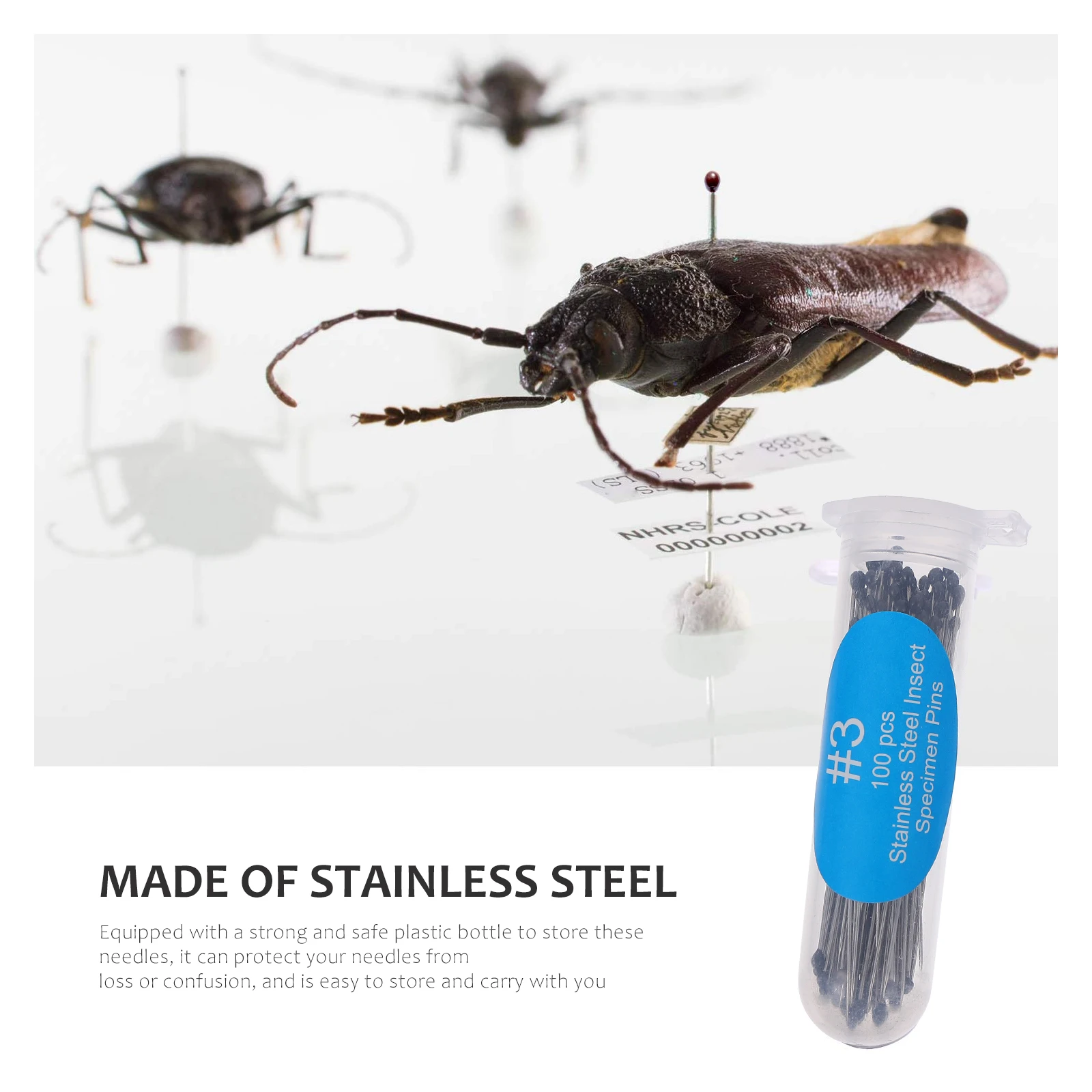 

300 Pcs Specimen Needle Pin Entomology Dissection Collector Collectors Stainless Steel Collection Needles