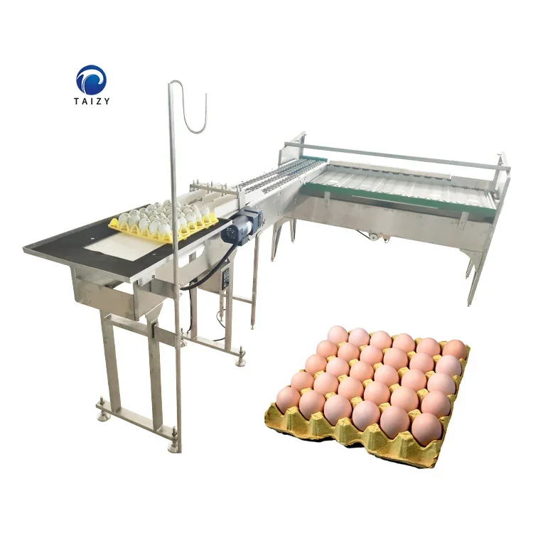 Multifunctional Automatic Egg Grading Packing Machine New for Chicken Egg Sorting Machine