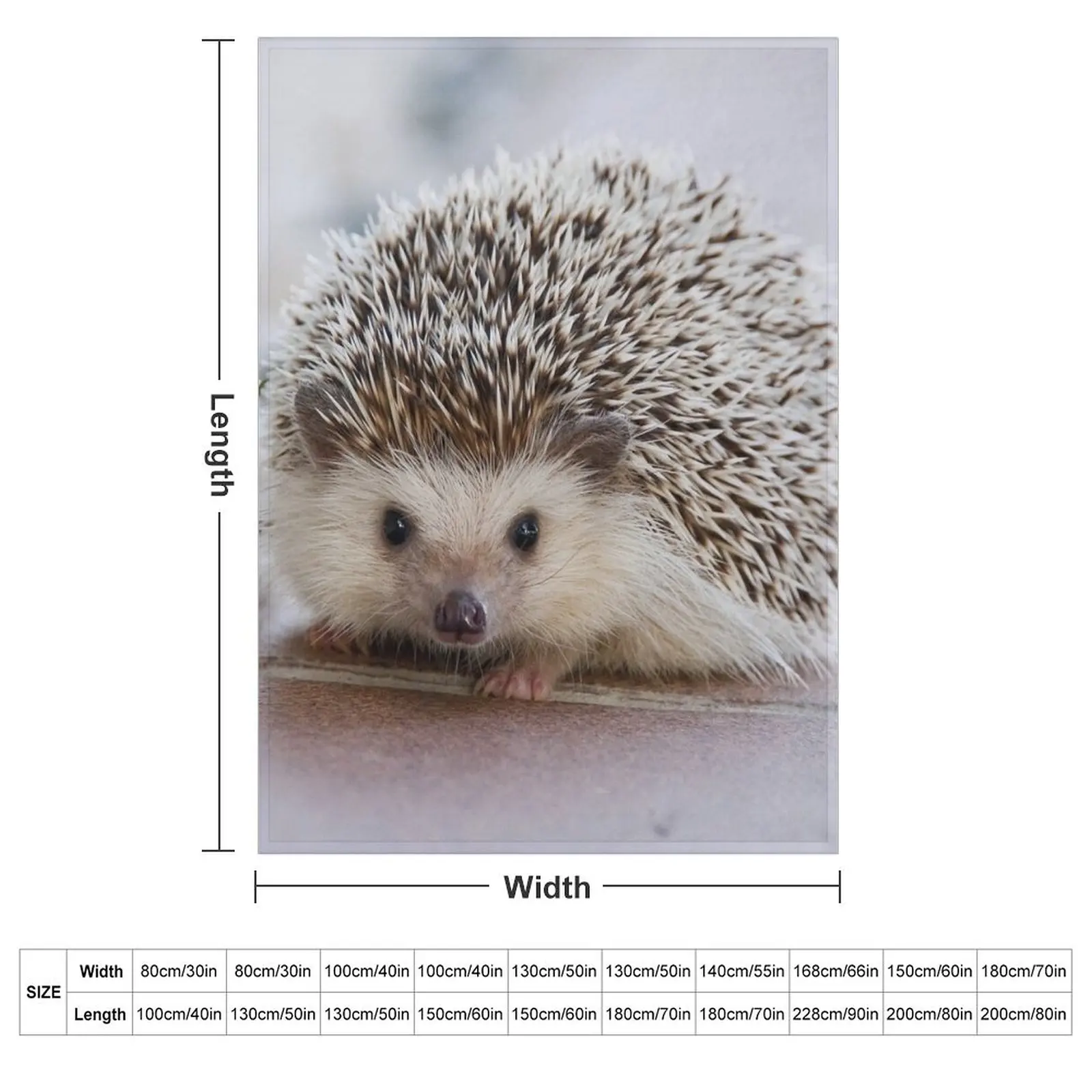 Hedgehog Throw Blanket For Decorative Sofa Decorative Beds Thin Blankets For Sofas Warm Sofa Blankets