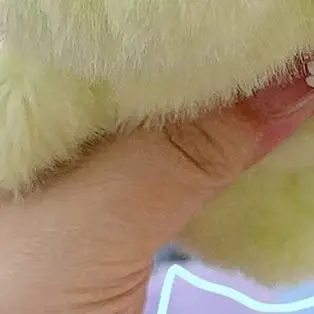 오션 패밀리 해파리 돌고래 상어 애완동물 작은 동물 봉제 펜던트 배낭 열쇠고리