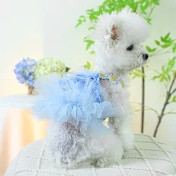 1PC Pet Clothing Cat Spring/Summer Thin Blue Rabbit Ear Gauze Dress Princess Dress Suitable for Small and Medium Dogs