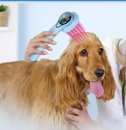 

Leihu LH-G-008 Low Level Therapy Wand for Multi-Animal Arthritis Pain Relief & Joint Treatment