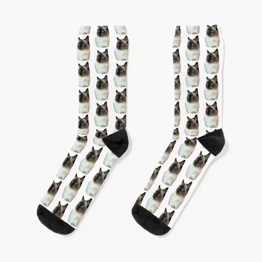 

Ragdoll Cat Socks luxe Argentina gift Men's Socks Girl Men's