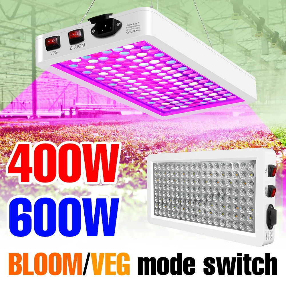 600W Full Spectrum …