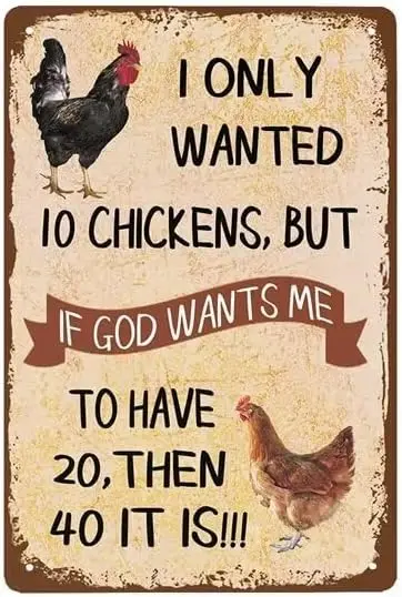 I Only Want Chickens - 8