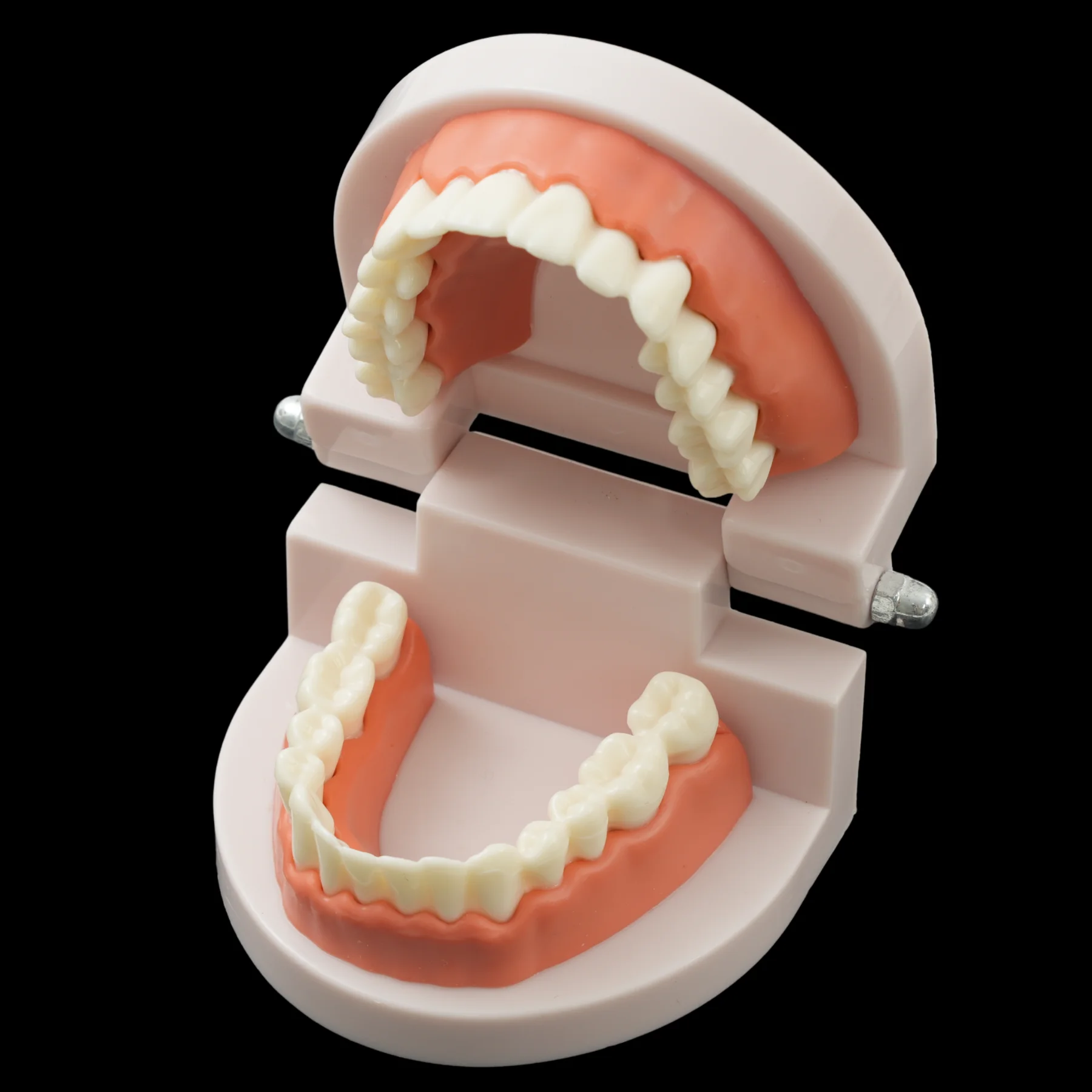 1set 28 Teeth Dental Lab Model with Soft Gums Adult Standard Denture Demonstration Teaching Tool for Dentist Patient Education