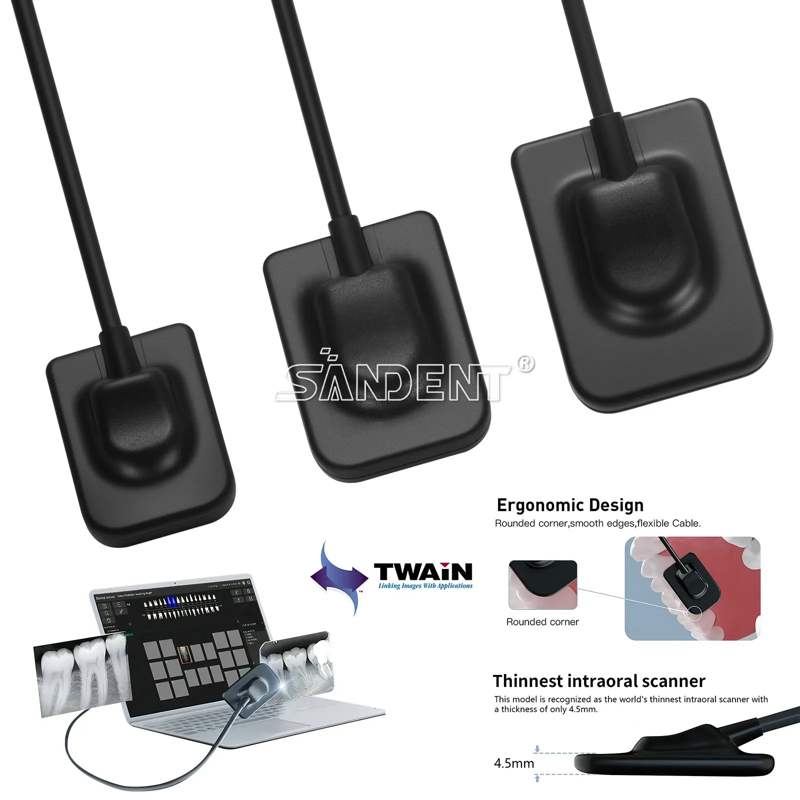 Dental X-Ray Holder…