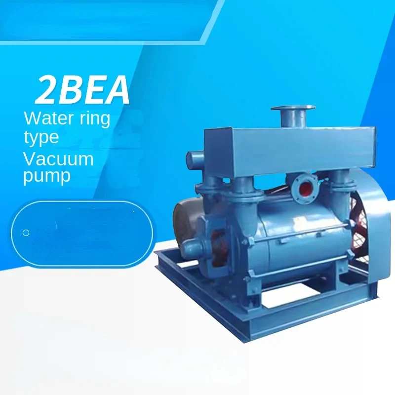 BEA Ring Vacuum Pump