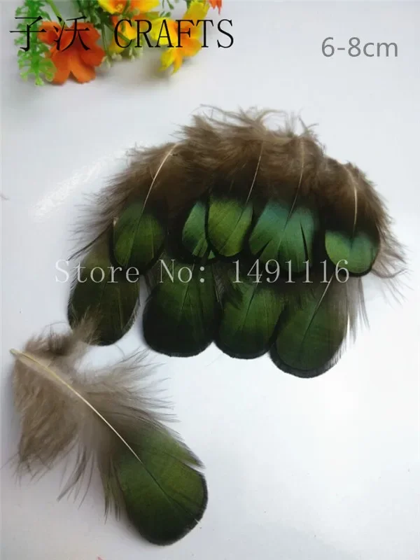 A variety of birds! 10/20/100/500 pieces / bag quality natural pheasant feathers, DIY costume crafts decoration