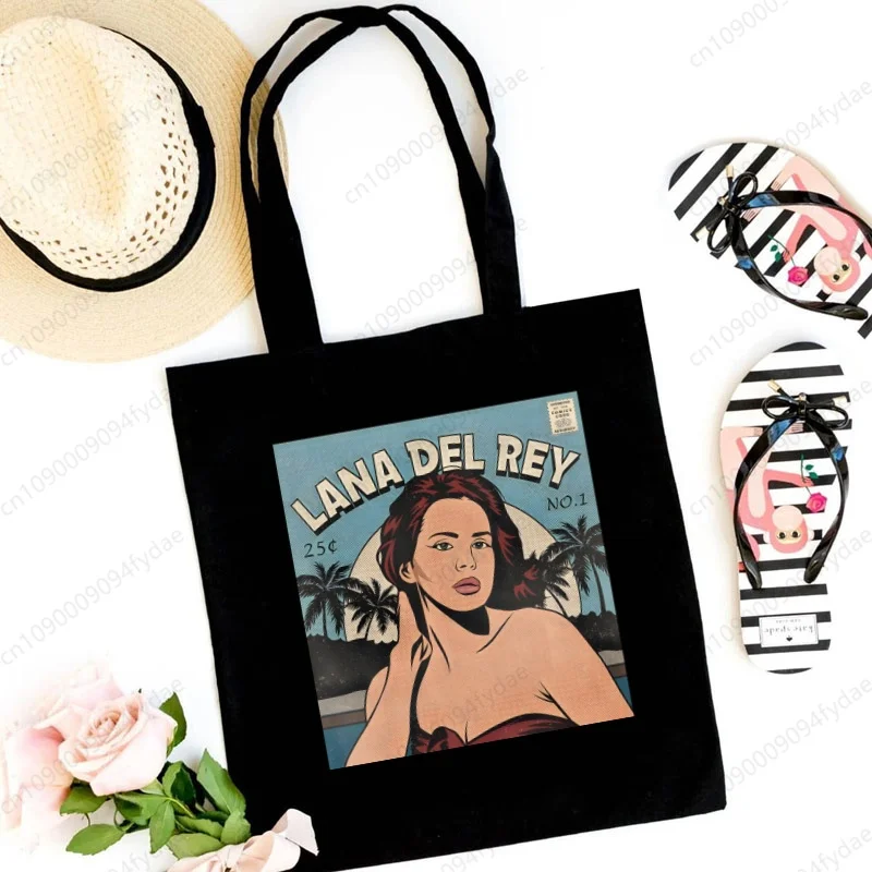 Y2K Singer Lana Del… - image