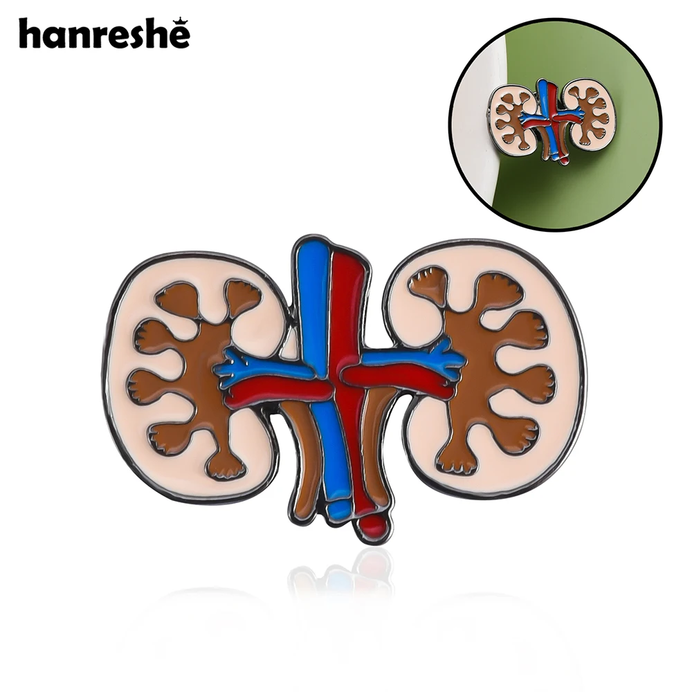 Hanreshe Medical Enamel Kidney Brooch Pin Urology Anatomy Lapel Badge Medicine Jewelry for Doctors Nurses